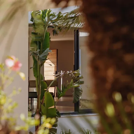 Balamb Garden A Rinascita *