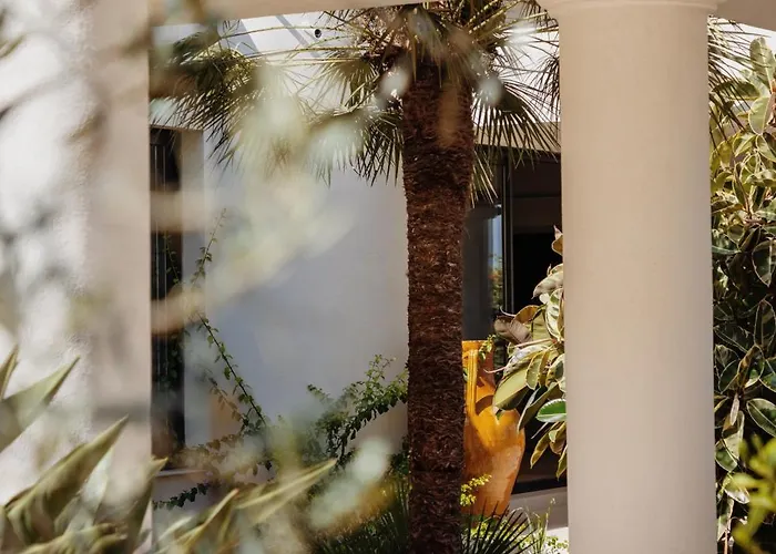 Hotel Balamb Garden A Rinascita Ajaccio (Corsica)