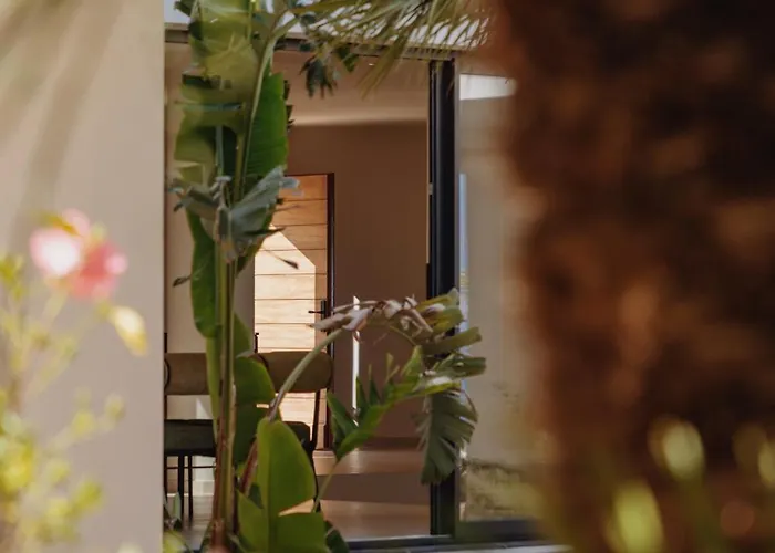 Balamb Garden A Rinascita *